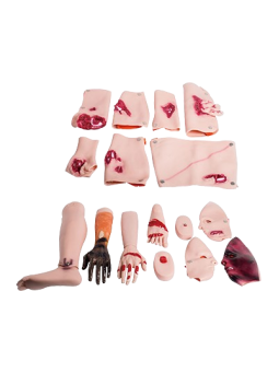 TRAUMA EVALUATION MODULE TRAUMA PARTS MODEL 
